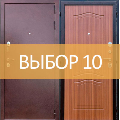 Стальная дверь Выбор 10